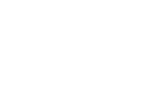 Salomons Estate Logo